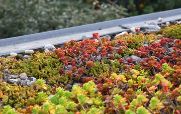 the cost of Llanio green roof installation