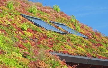 Llanio living roof systems