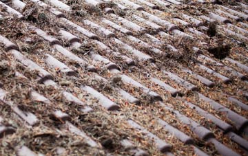 Llanio roof cleaning companies