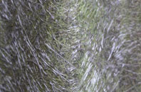 Llanio fibreglass roof work